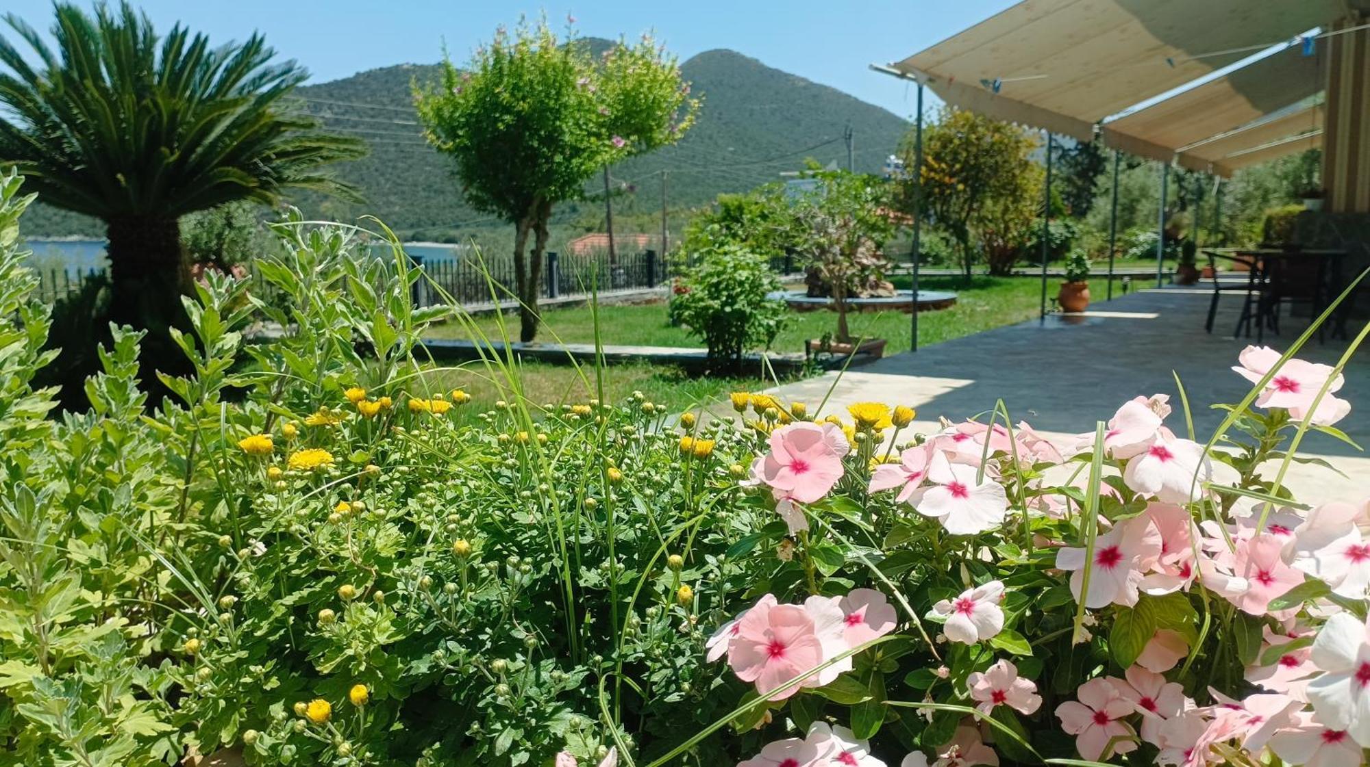 Studios Zaritsi Tirós Esterno foto